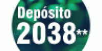 2038