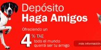 haga-amigos